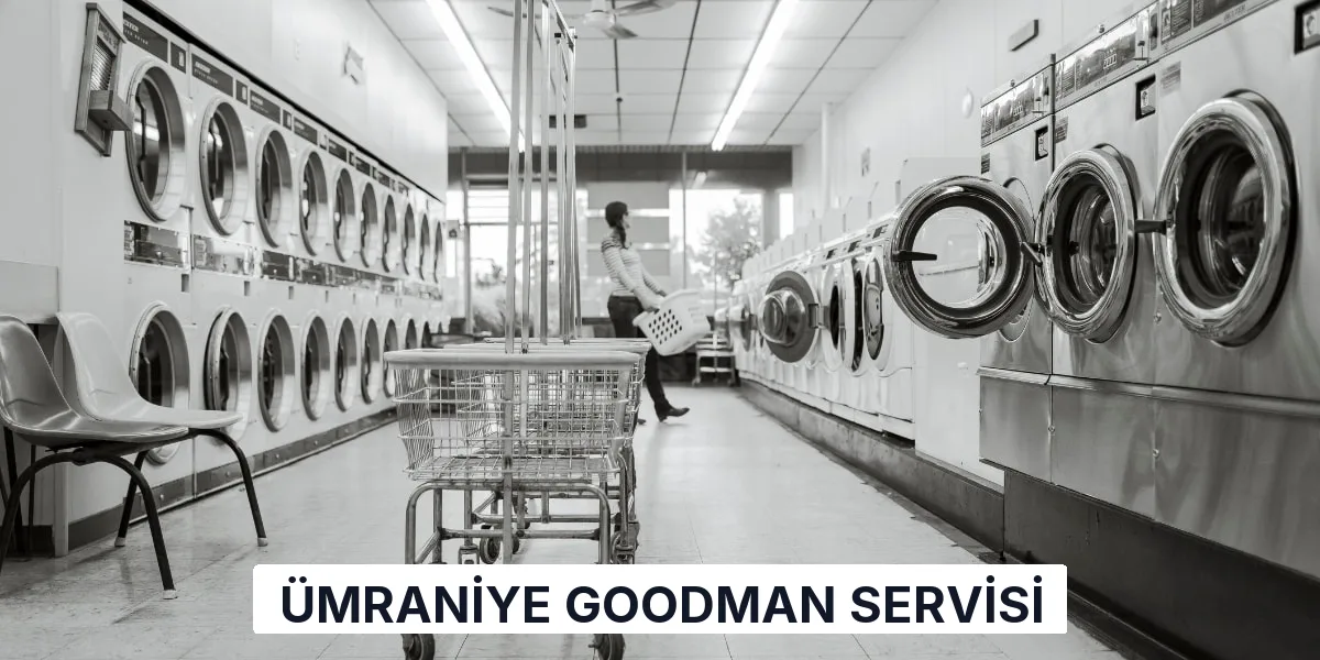Ümraniye Goodman Servisi